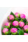 19 Пионов