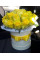 Желтые розы в шляпной коробке